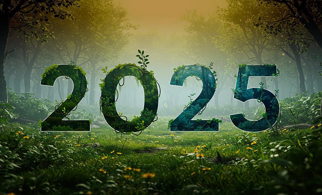 Une année 2025 en harmonie et en vibrations